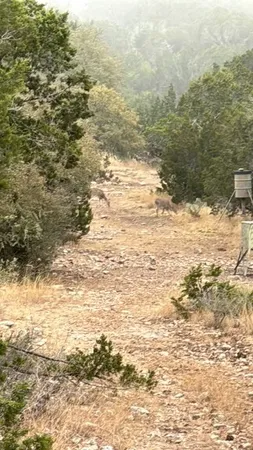 $290,950 | 0 Cr 310 Rocksprings Tx 78880, Rocksprings, TX 78880