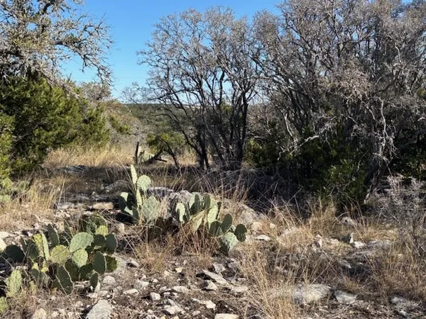 $290,950 | 0 Cr 310 Rocksprings Tx 78880, Rocksprings, TX 78880