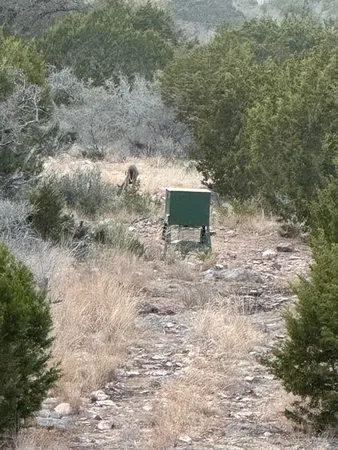 $290,950 | 0 Cr 310 Rocksprings Tx 78880, Rocksprings, TX 78880