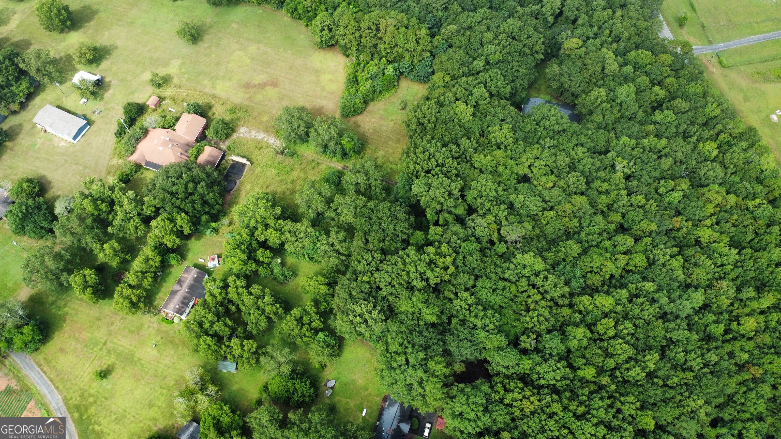 a close up of a plant in a garden