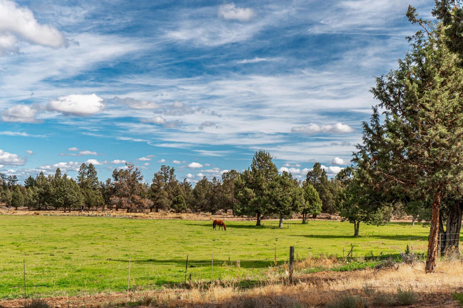 61670 Teal Road Bend, OR 97702 - Photo 9 of 36 batch_0961670TealRd