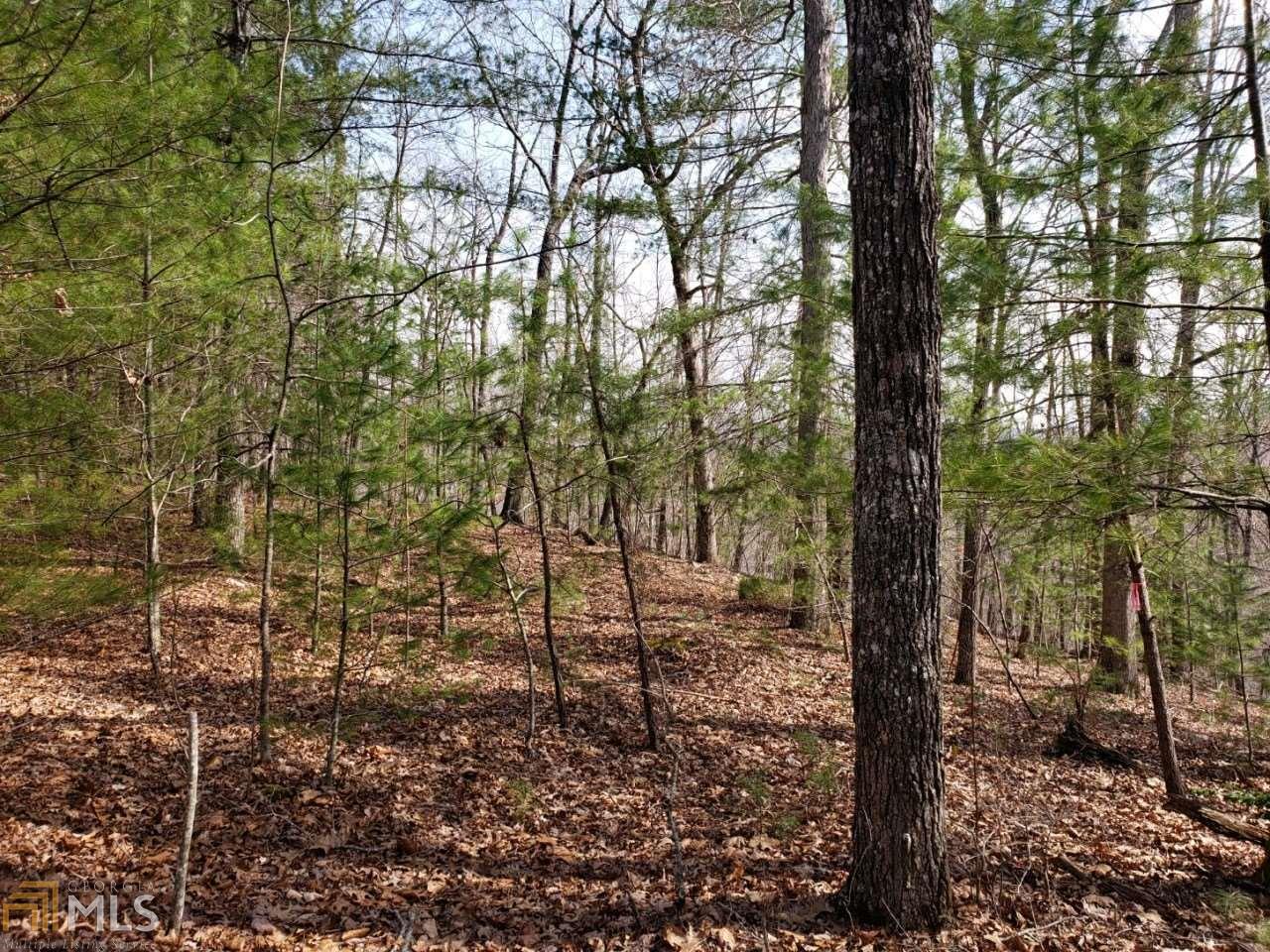98 Syrup Mill Branch Road Morganton, GA 30560 - Photo 1 of 1 Gallery Image 1