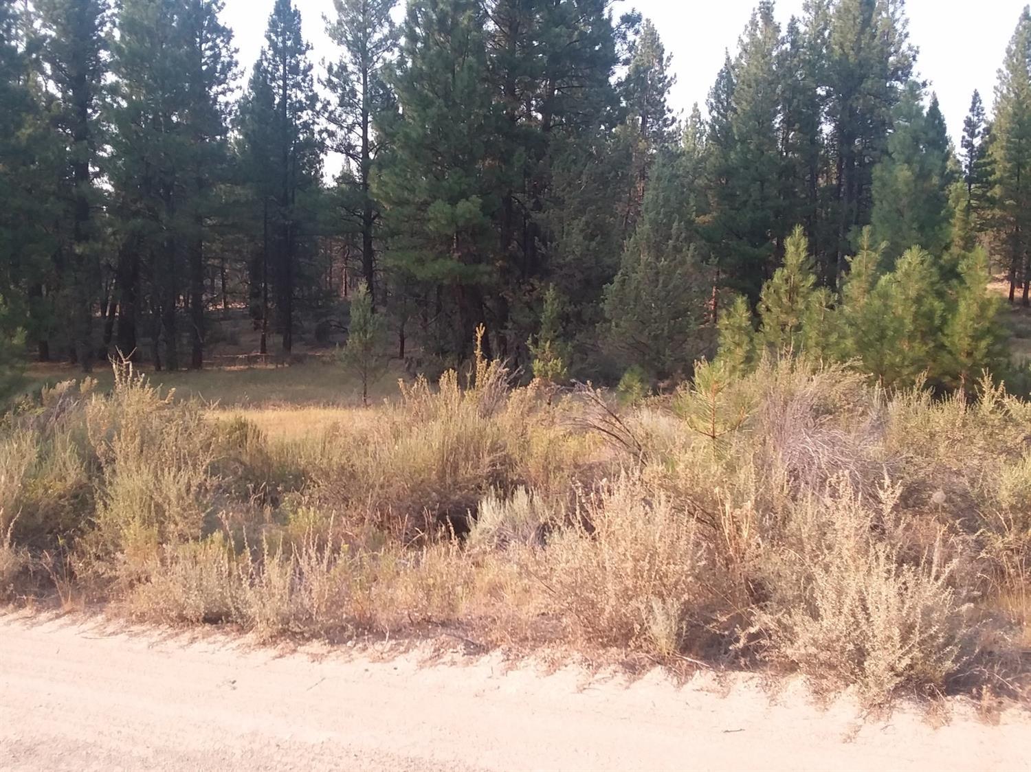 0 South Packsaddle Circle South Beatty, OR 97621 - Photo 3 of 22 Additional Photo