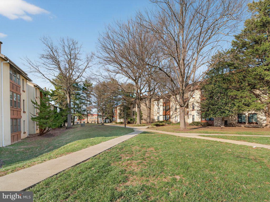 9635 White Acre Road, Unit B2 Columbia, MD 21045 - Photo 4 of 31 a big yard with large trees