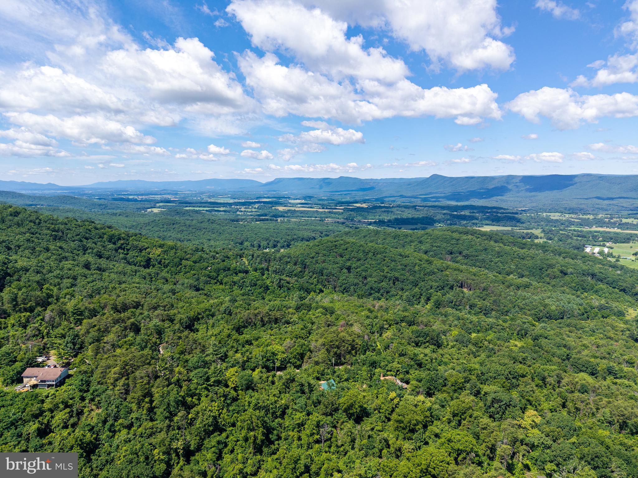 707 Overlook Drive Rileyville, VA 22650 - Photo 81 of 94