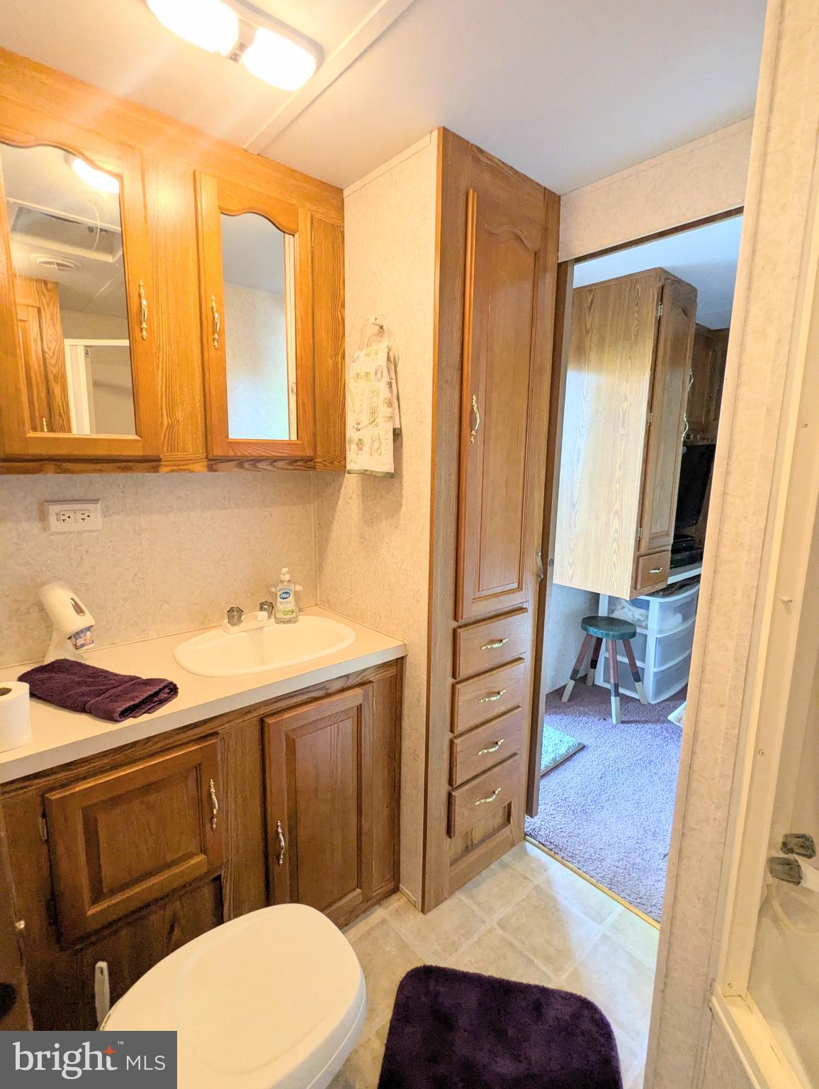 8 Avalanche Avenue Falling Waters, WV 25419 - Photo 11 of 13 a bathroom with a sink a toilet and mirror