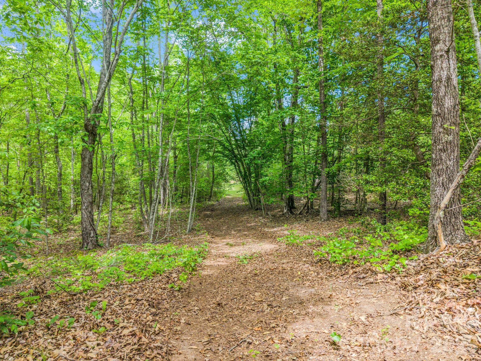 0 Romey Campbell Road Ellenboro, NC 28040 - Photo 12 of 41