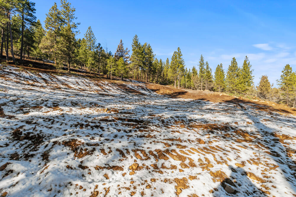0 Simpson Canyon Road, Unit 15 Klamath Falls, OR 97601 - Photo 19 of 37 a view of a yard with trees