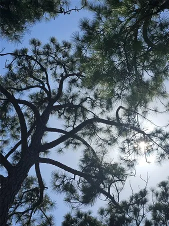 $2,000 | 2700 Bayshore Boulevard, Unit 2B, Dunedin, FL 34698