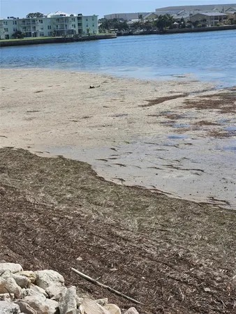 $2,000 | 2700 Bayshore Boulevard, Unit 2B, Dunedin, FL 34698