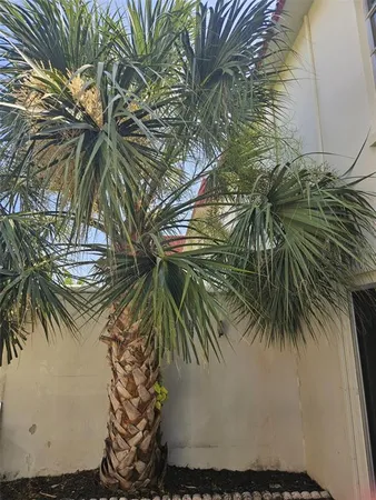 $2,000 | 2700 Bayshore Boulevard, Unit 2B, Dunedin, FL 34698