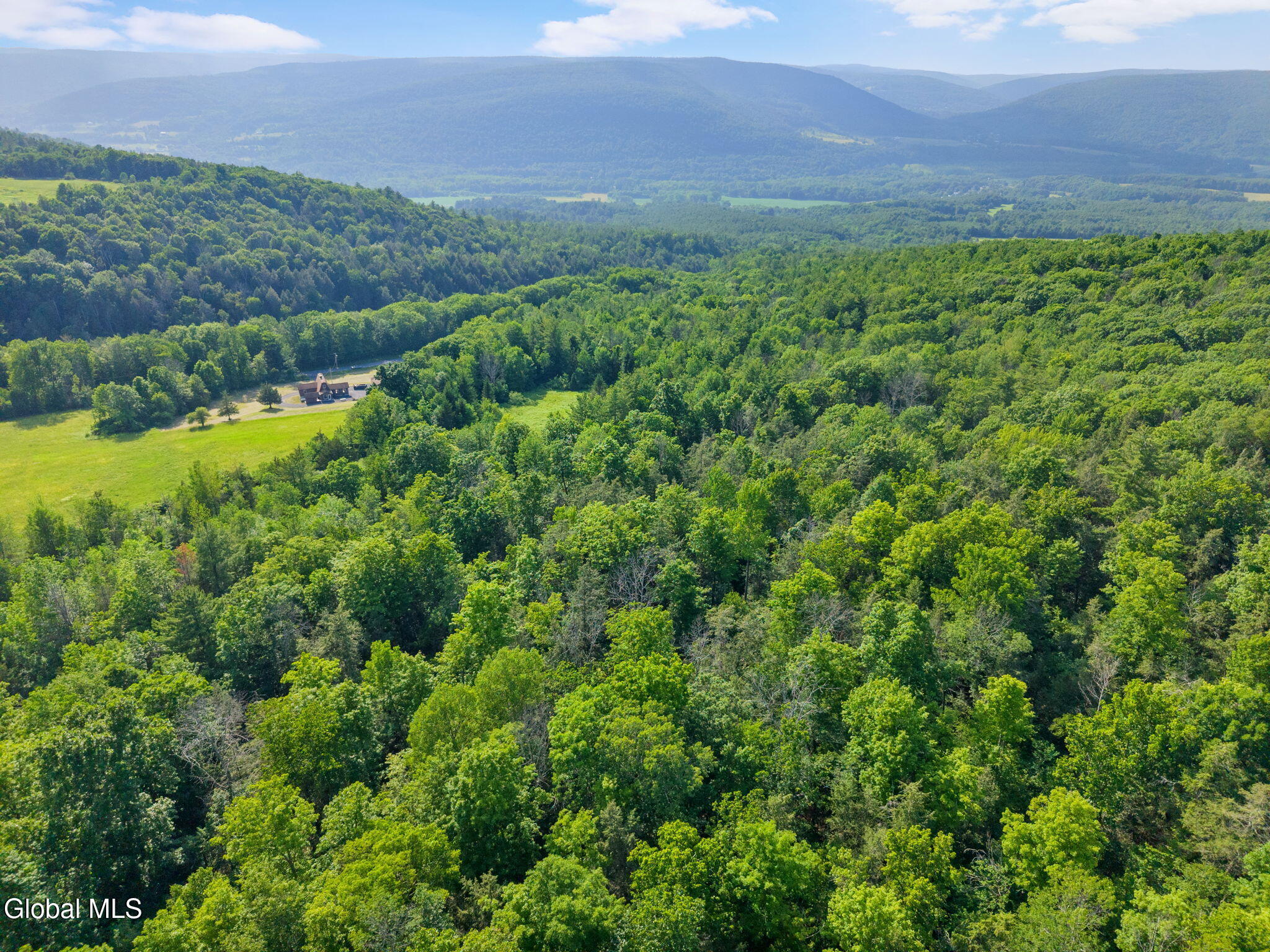 L6 Guinea Road Middleburgh, NY 12122 - Photo 4 of 10 63-1008GuineaRd_63