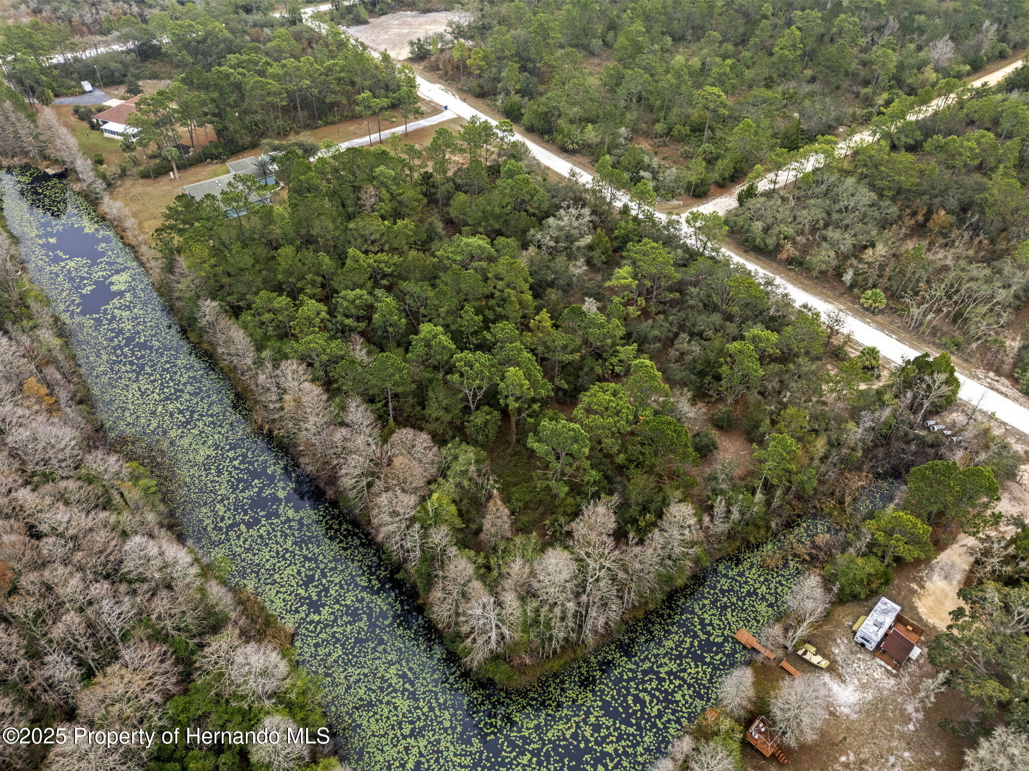 0 Yellowback Road Weeki Wachee, FL 34614 - Photo 8 of 14