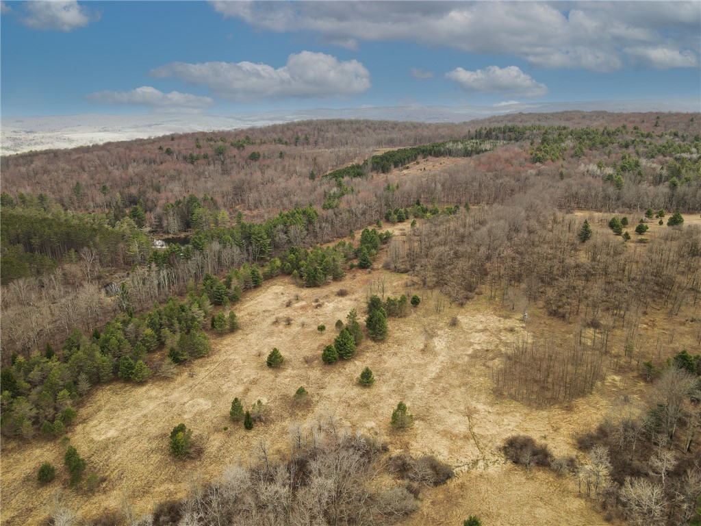 373 County Highway Morris, NY 13808 - Photo 17 of 44