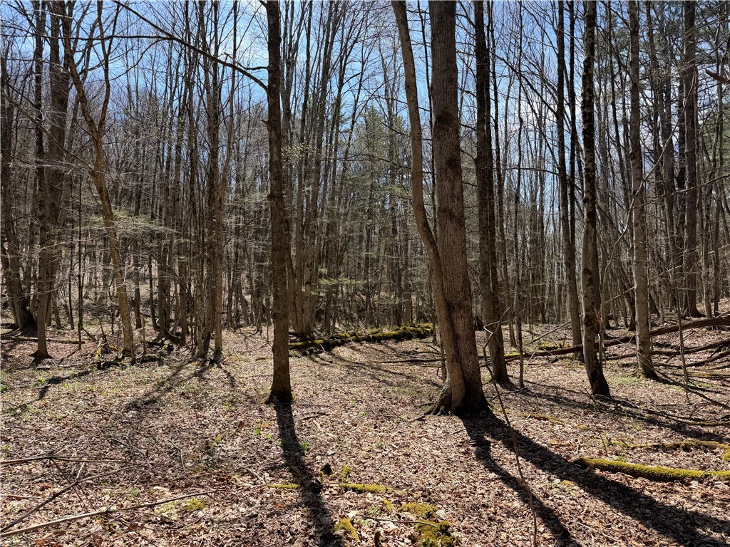 373 County Highway Morris, NY 13808 - Photo 18 of 44