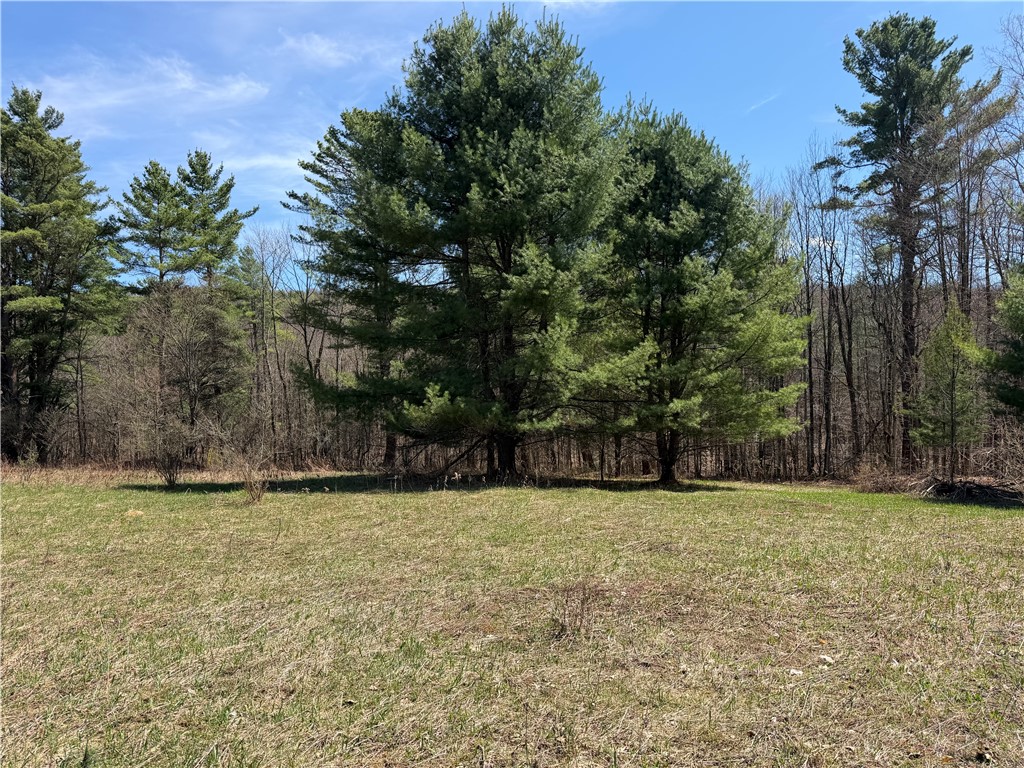 373 County Highway Morris, NY 13808 - Photo 19 of 44
