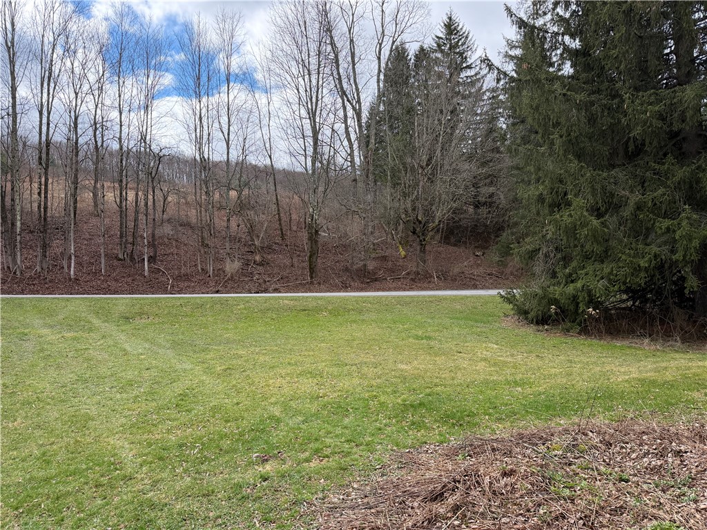 373 County Highway Morris, NY 13808 - Photo 20 of 44