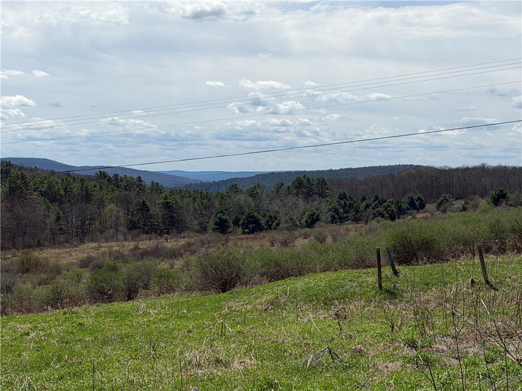 373 County Highway Morris, NY 13808 - Photo 21 of 44