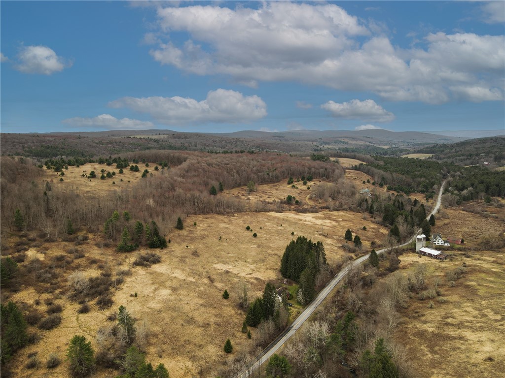 373 County Highway Morris, NY 13808 - Photo 3 of 44