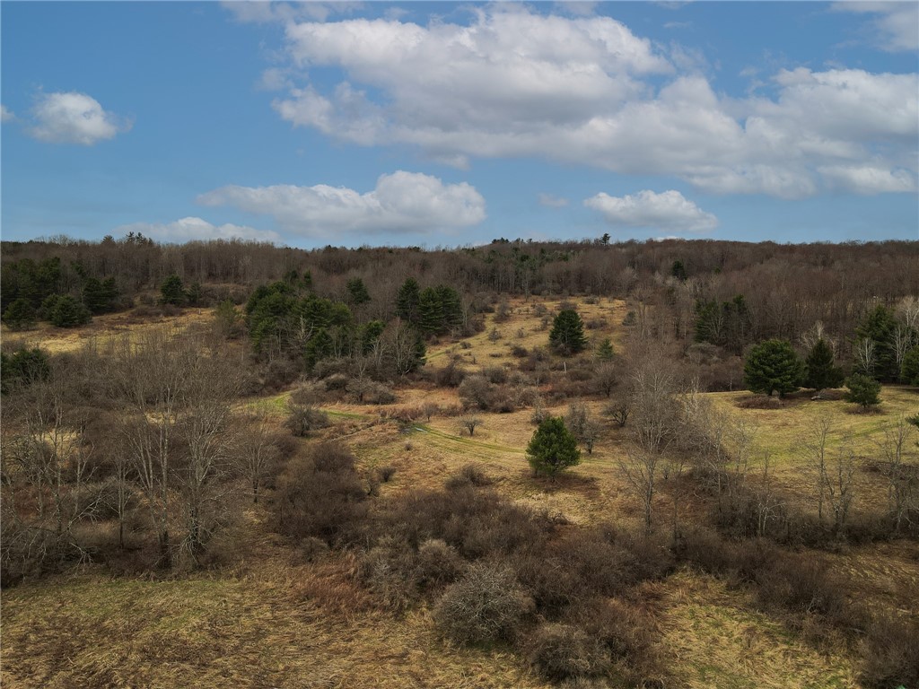 373 County Highway Morris, NY 13808 - Photo 35 of 44