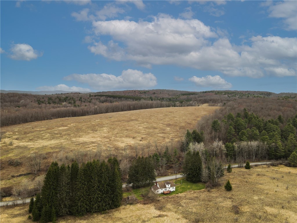 373 County Highway Morris, NY 13808 - Photo 4 of 44