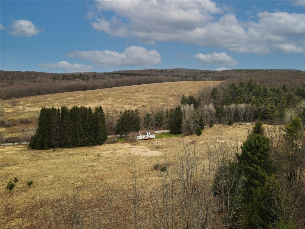 373 County Highway Morris, NY 13808 - Photo 5 of 44