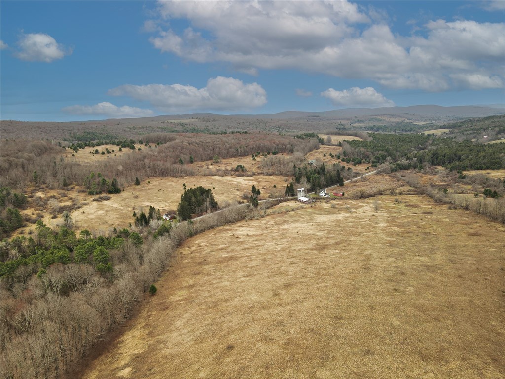 373 County Highway Morris, NY 13808 - Photo 6 of 44
