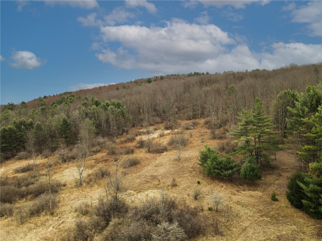 373 County Highway Morris, NY 13808 - Photo 7 of 44