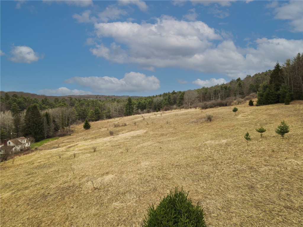 373 County Highway Morris, NY 13808 - Photo 8 of 44
