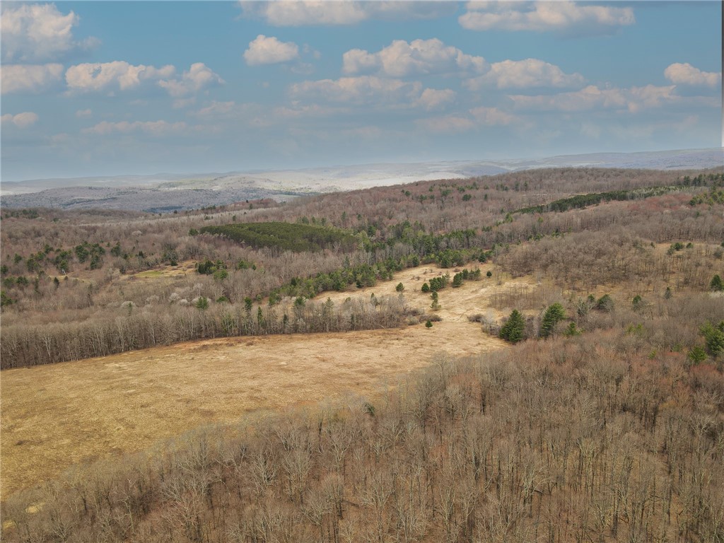 373 County Highway Morris, NY 13808 - Photo 9 of 44