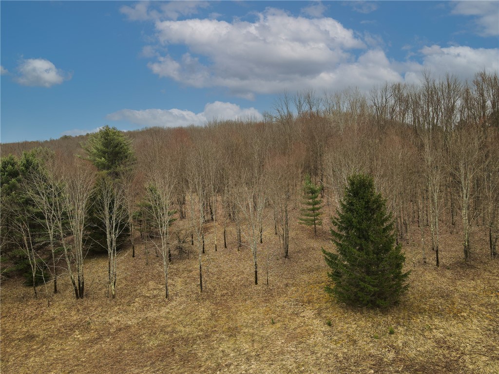 373 County Highway Morris, NY 13808 - Photo 10 of 44