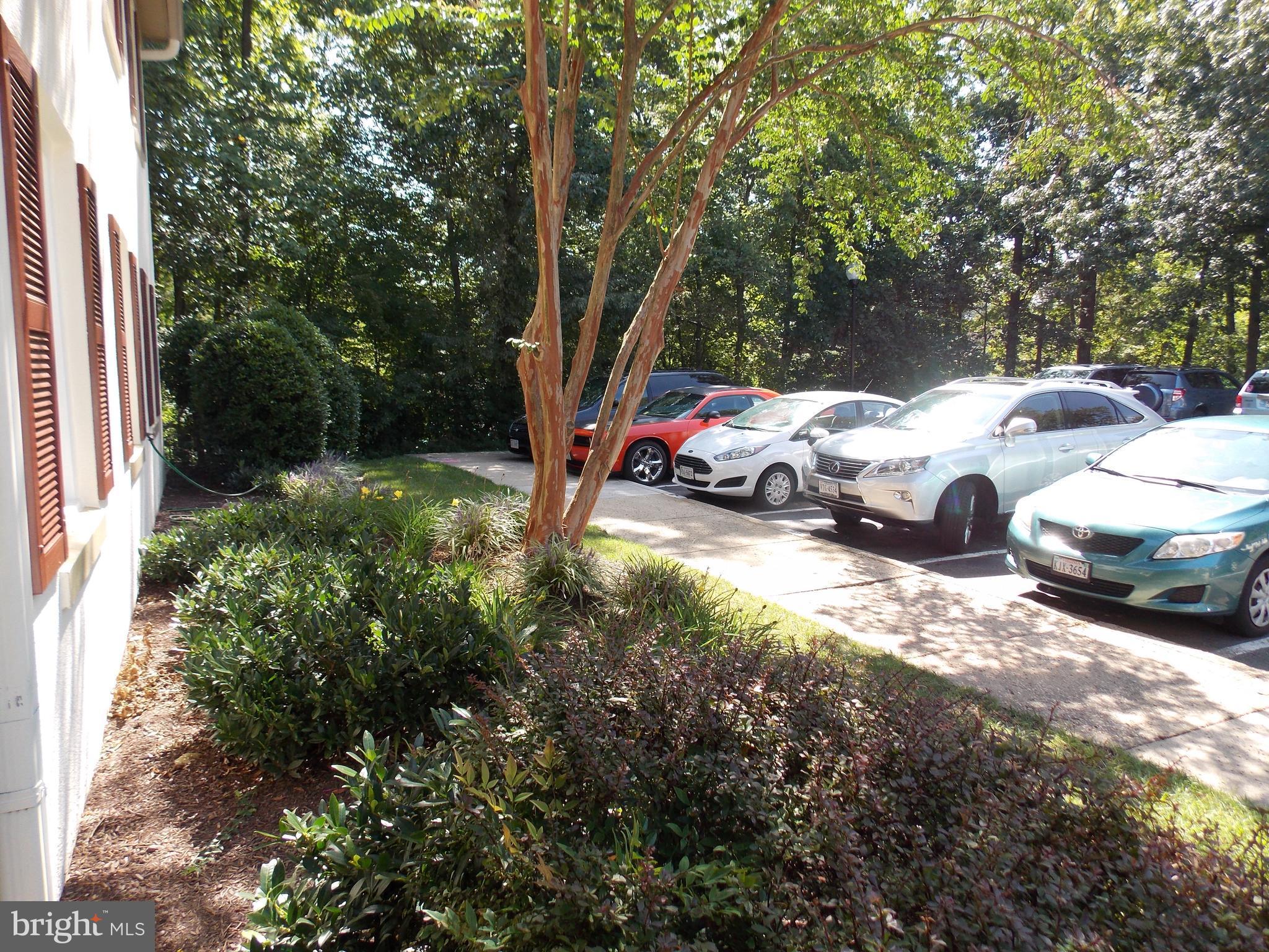 5901 Kingsford Road, Unit 436 Springfield, VA 22152 - Photo 21 of 22 View from Patio to the left