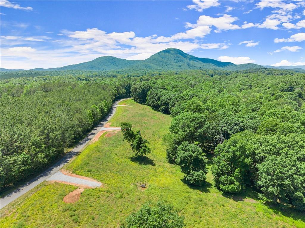 0 Arthur Allen Road Cleveland, GA 30528 - Photo 1 of 22