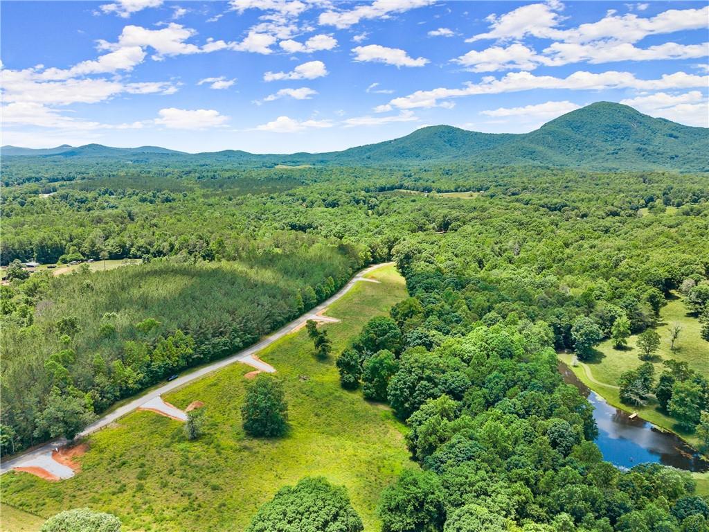 0 Arthur Allen Road Cleveland, GA 30528 - Photo 4 of 22 a view of a lush green hillside and a houses