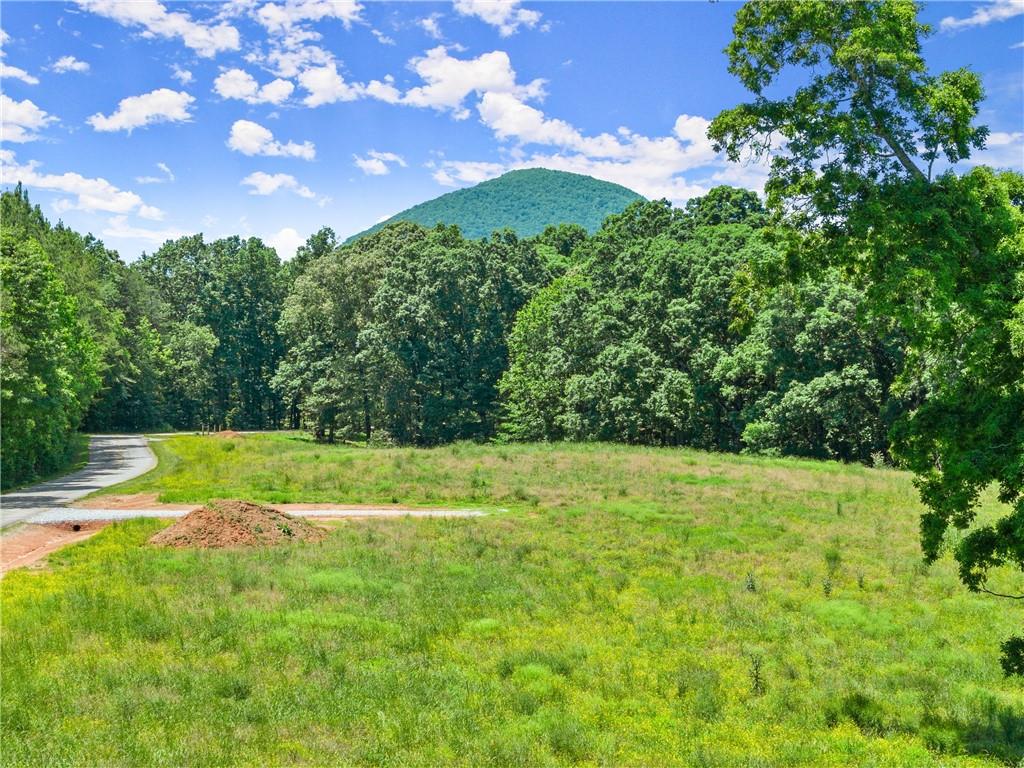 0 Arthur Allen Road Cleveland, GA 30528 - Photo 6 of 22 a view of an outdoor space and yard