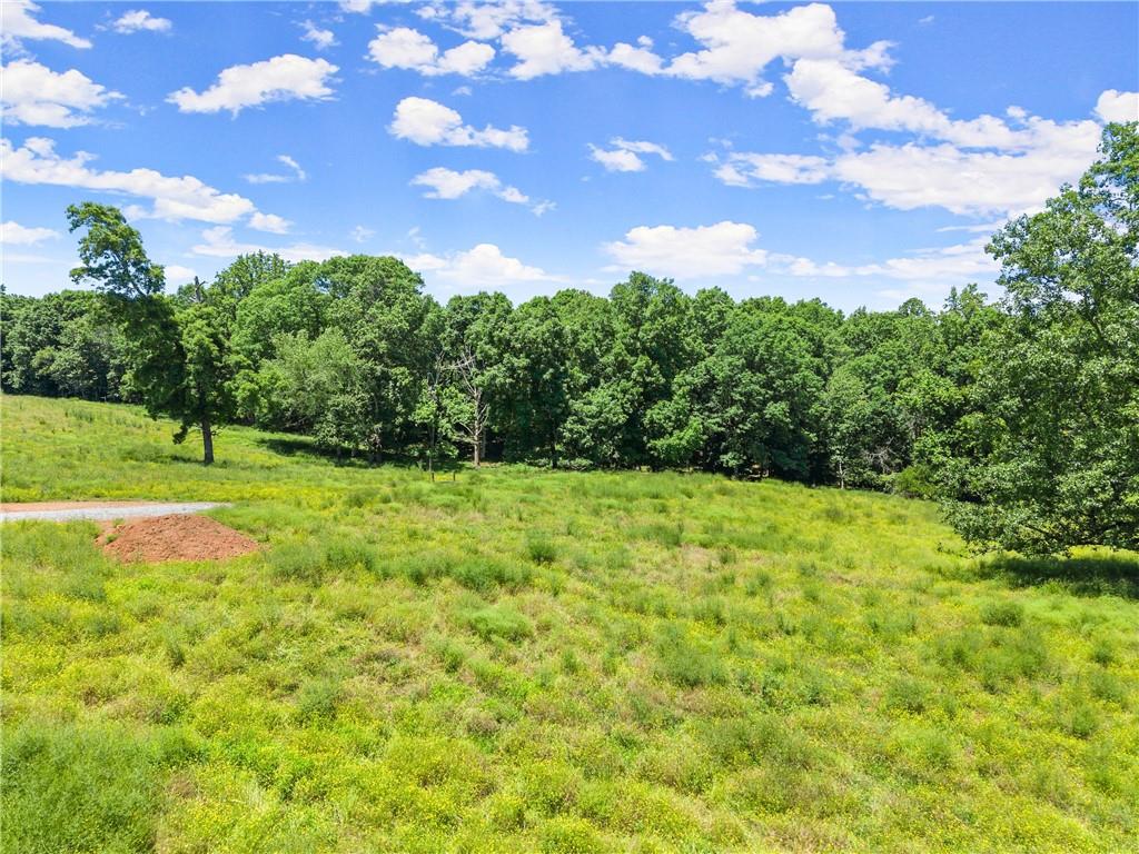 0 Arthur Allen Road Cleveland, GA 30528 - Photo 7 of 22 a view of a field with an trees