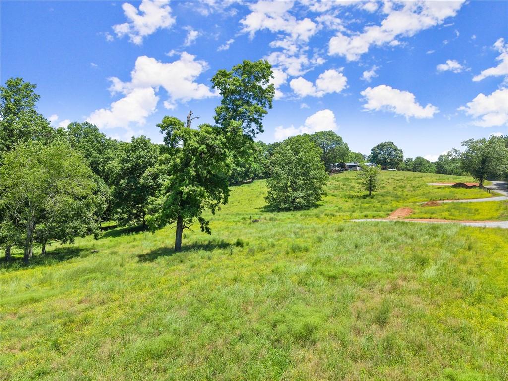 0 Arthur Allen Road Cleveland, GA 30528 - Photo 8 of 22 a view of yard with green space