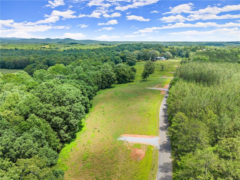 0 Arthur Allen Road Cleveland, GA 30528 - Photo 9 of 22 a view of a lake with a city