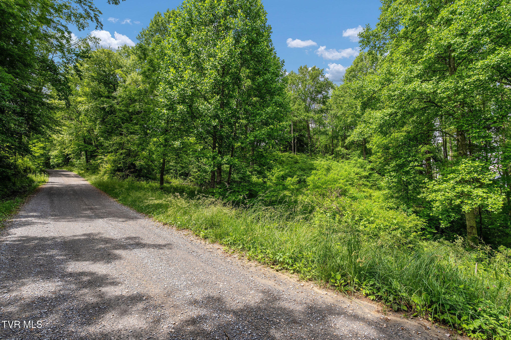 Tbd Walnut Mountain Road Butler, TN 37640 - Photo 28 of 36 DSC04469