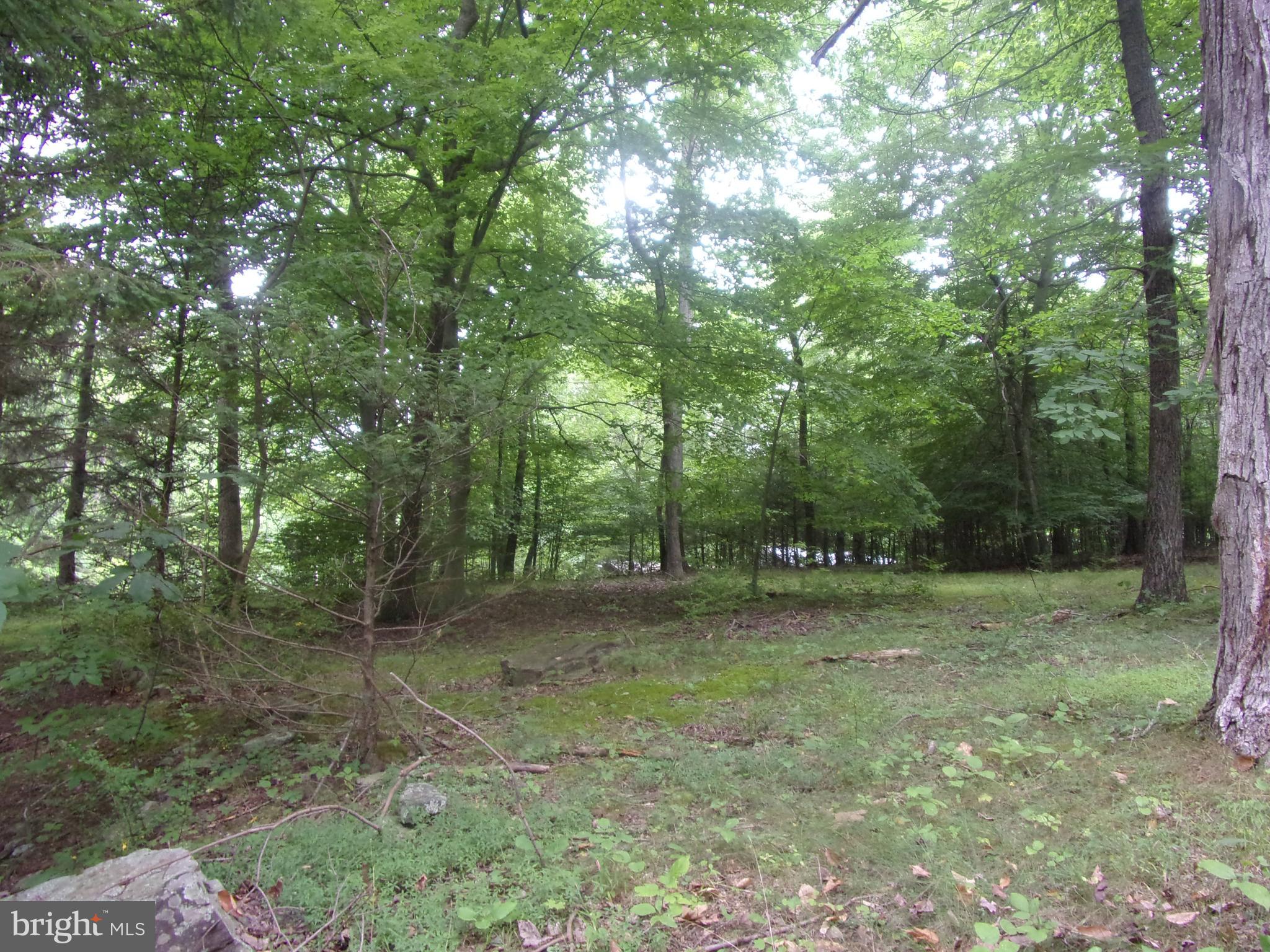 500 Wolf Road Blain, PA 17006 - Photo 52 of 58 Gallery Image 52