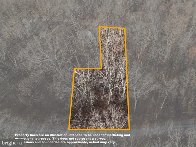 a view of a dry yard