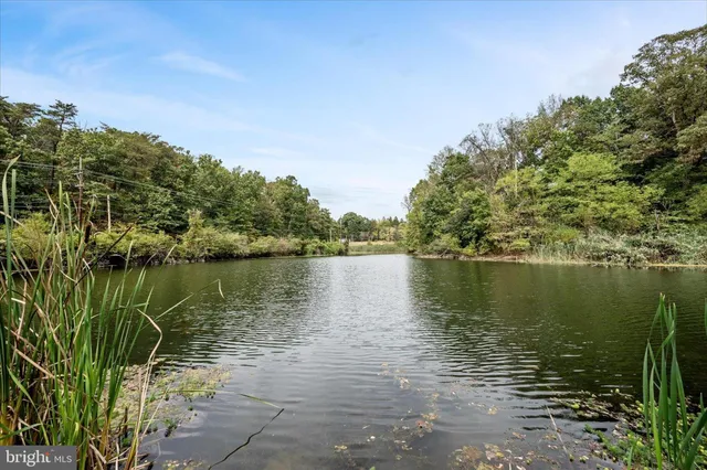 a view of a garden with a lake