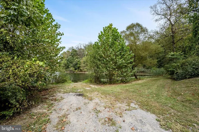 a view of a forest with a lake