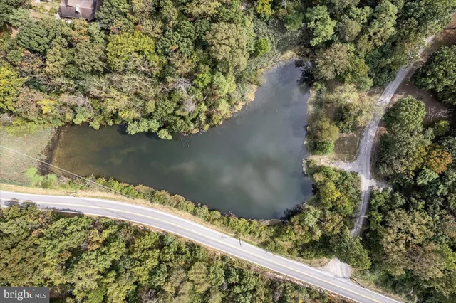 a park view with a pathway