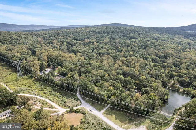 a view of a wooden house with a yard and large tree