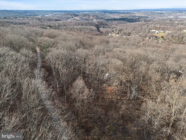 a view of a forest