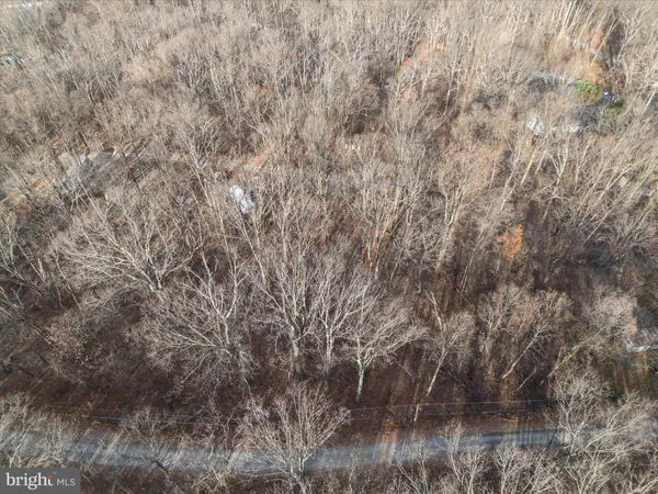 a view of a yard with trees