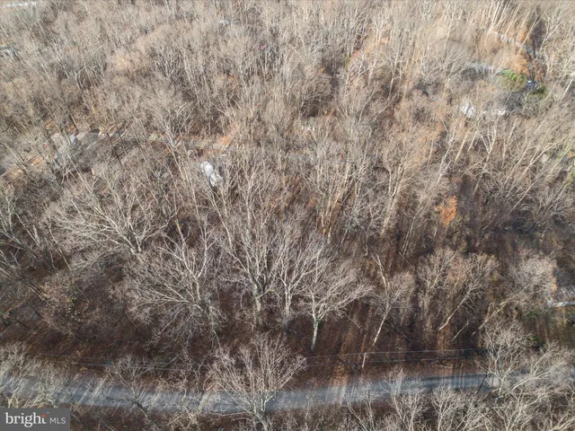a view of a yard with trees