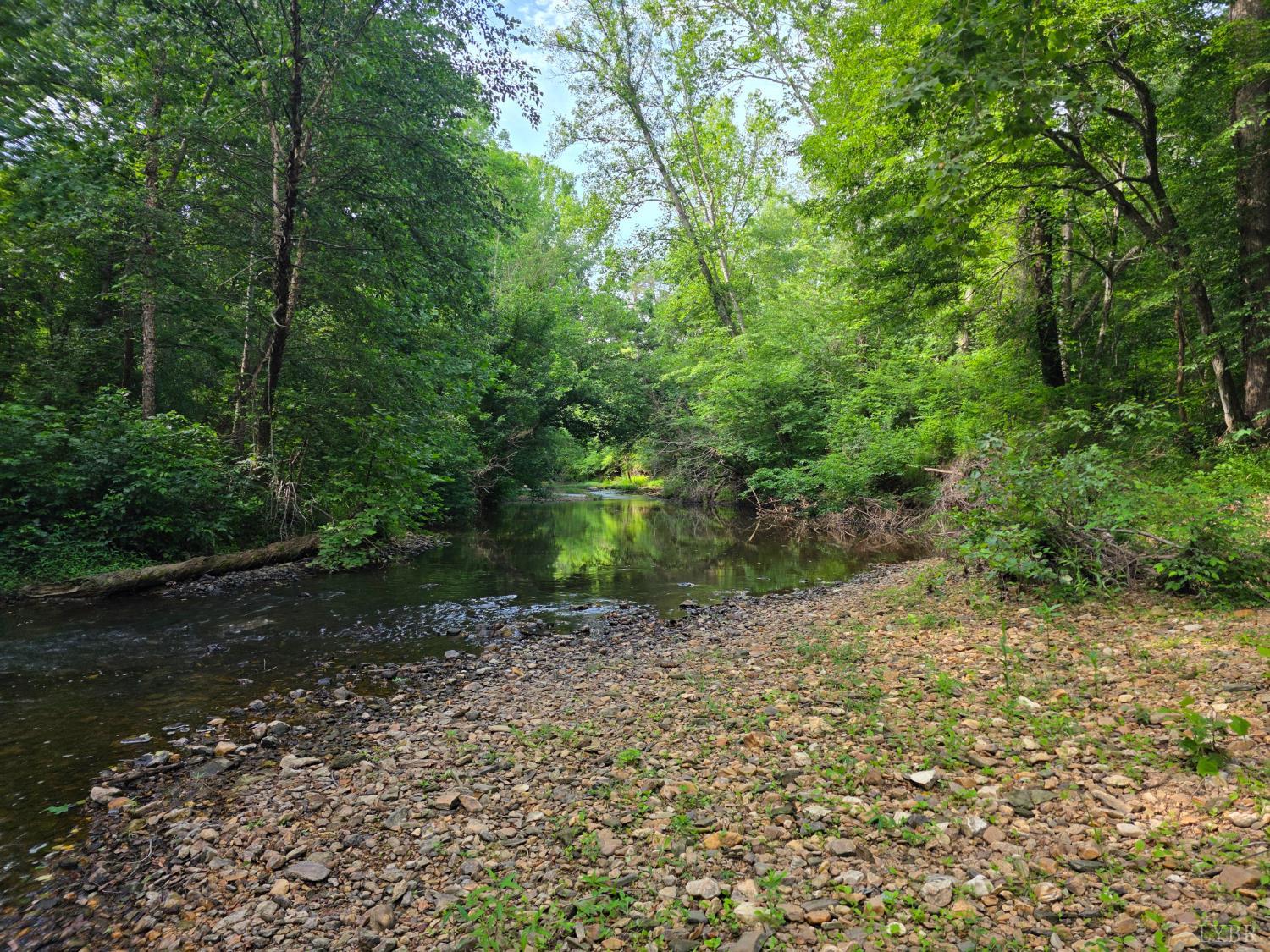 1408 Coleman Mountain Road Appomattox, VA 24522 - Photo 75 of 85 a view of a pathway both side of yard