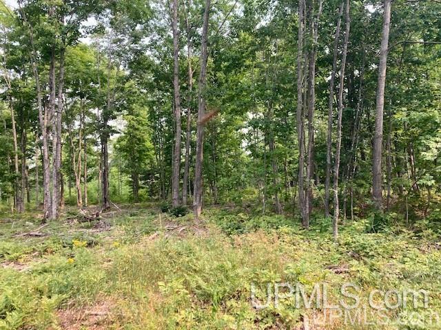 Tbd Old Mill Road Toivola, MI 49965 - Photo 4 of 25 Gallery Image 4